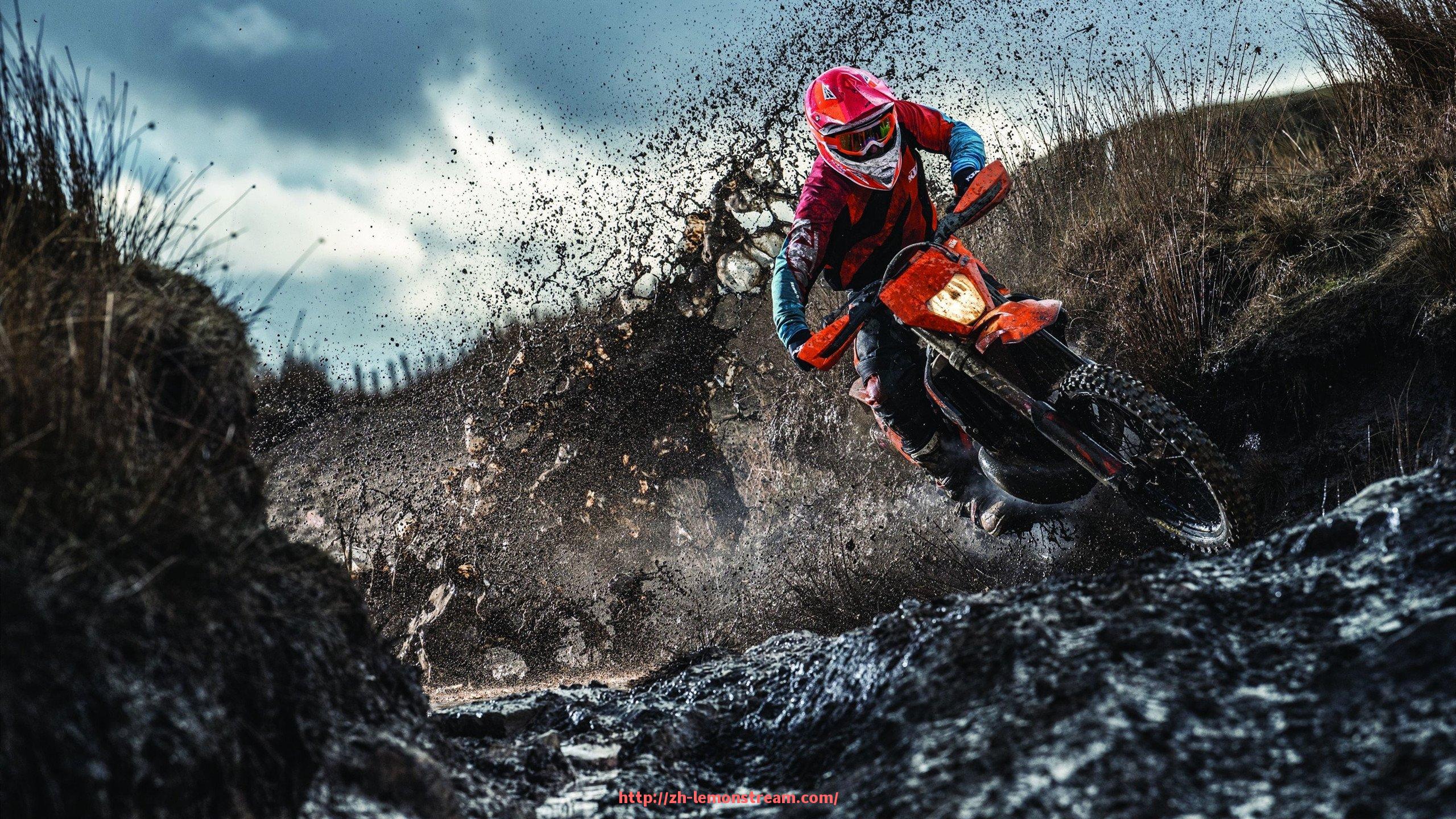 柠檬体育直播-室内骑行健身器材种类对比与运动强度调节技巧